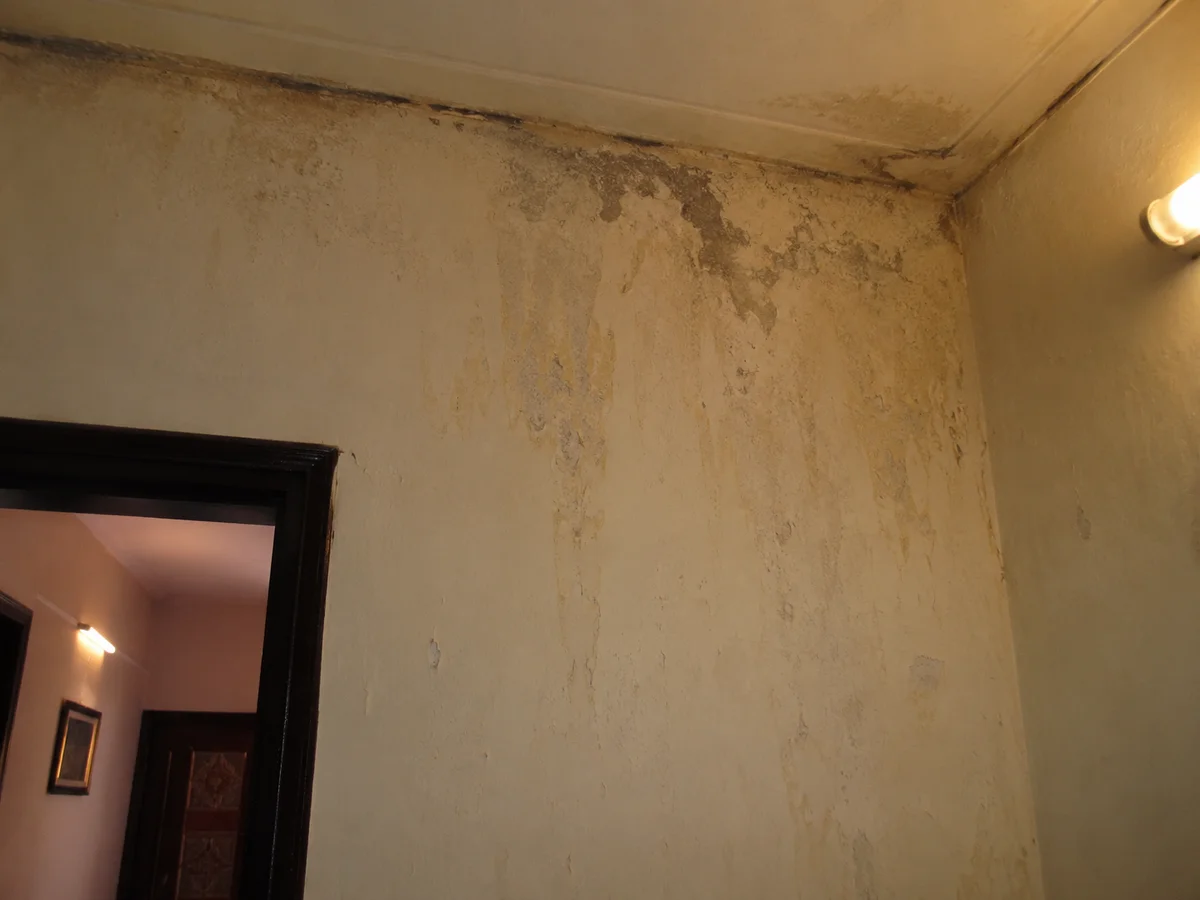 Waterproofing Services in Delhi NCR: A Complete Guide for Homeowners