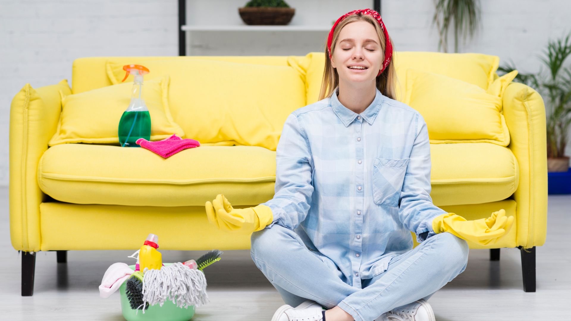 9 OBD and Distemper Paint Key Difference You Must Know