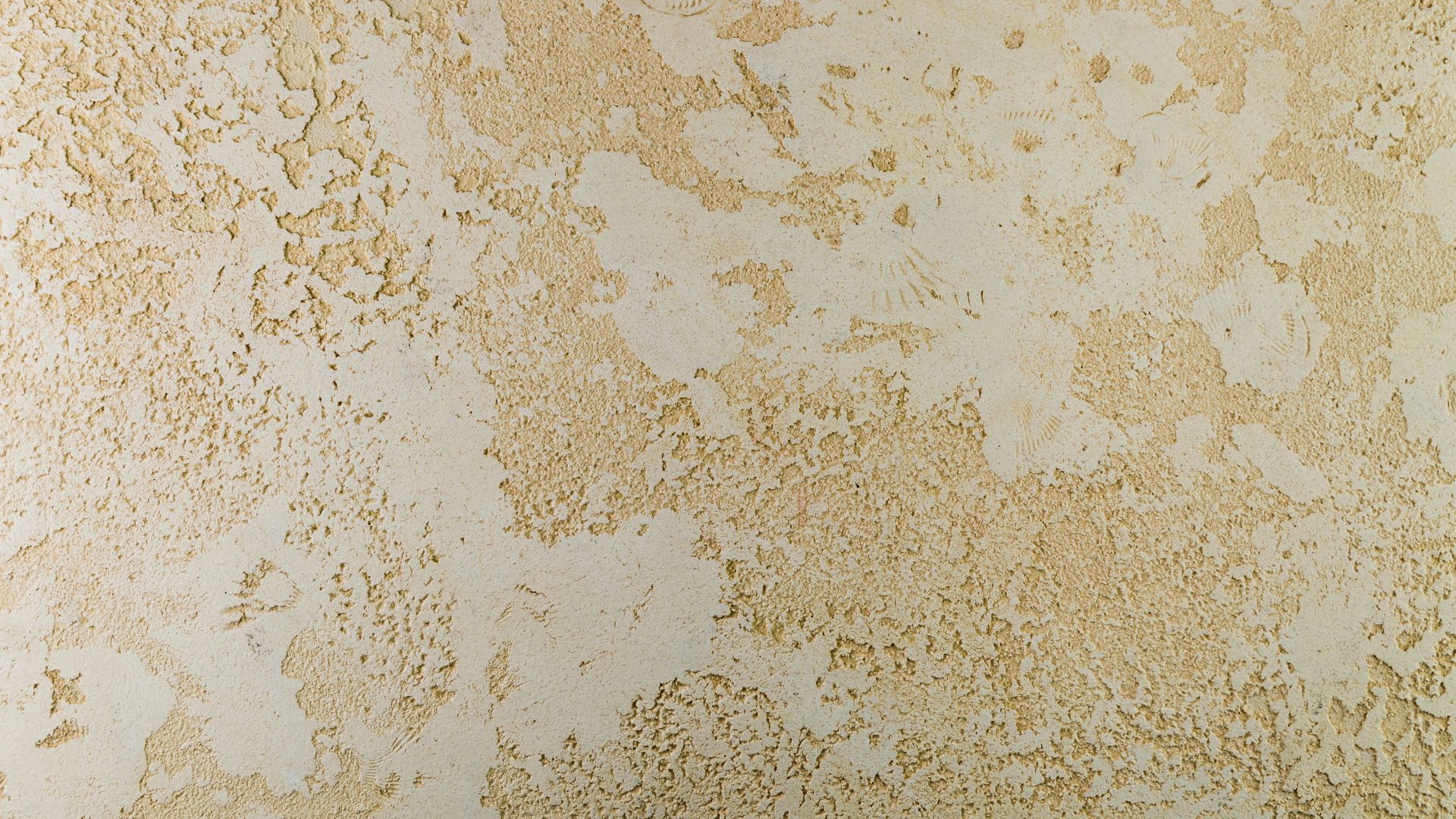 Oikos Ottocento Texture Paint